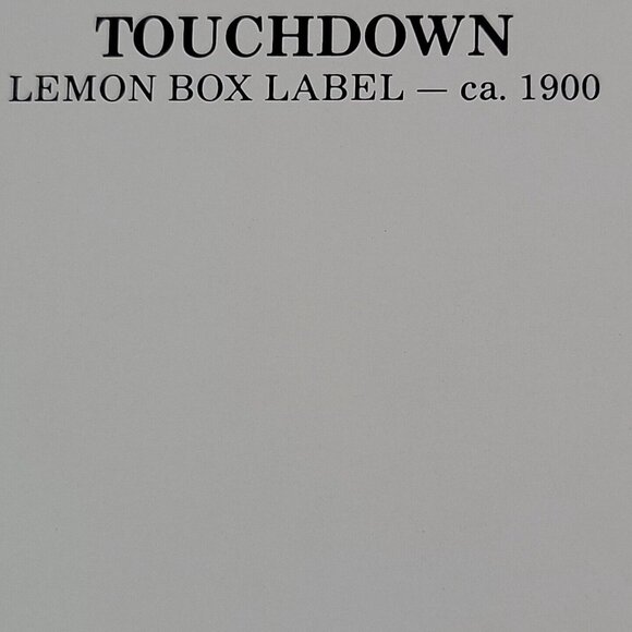 1987 postcard from 1900 art Touchdown brand football with lemon fall young boy - Picture 4 of 8